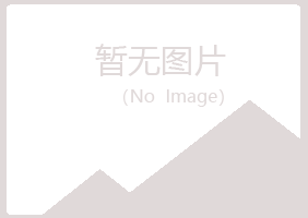 揭阳雅山化学有限公司